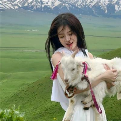 维纳斯战纪
